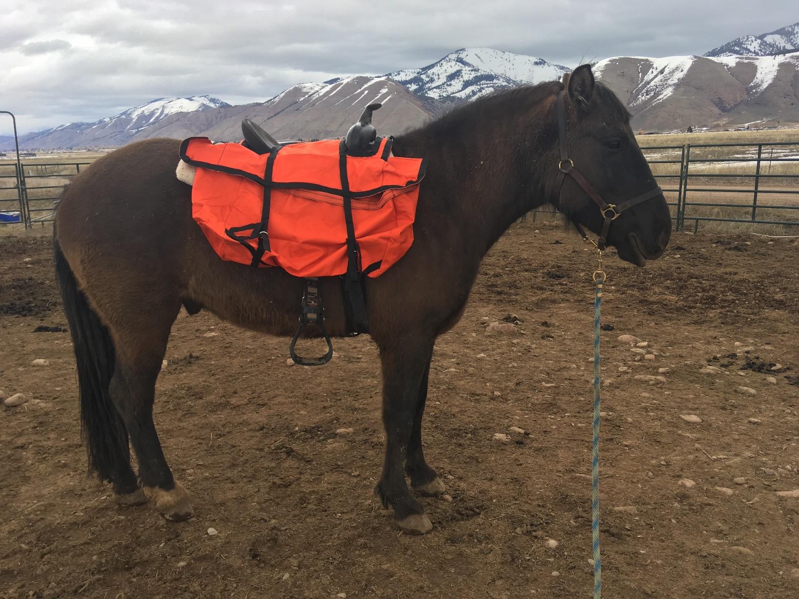 Multi-Purpose Horse Horse Storage Bag Equestrian Saddle Bag With Water Bottle Holder Durable Oxford Fabric Fit For Riders - Orange