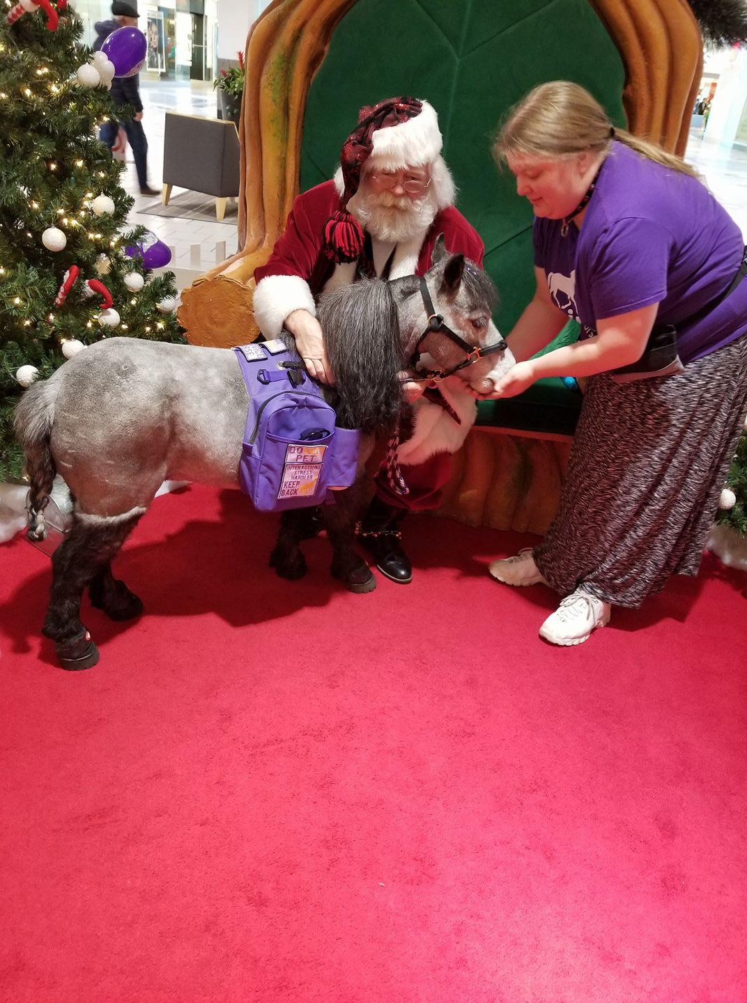 Multi-Purpose Horse Supplies Equestrian Saddle Bag With Water Bottle Holder Durable Nylon Fabric Fit For Riders - Brownness