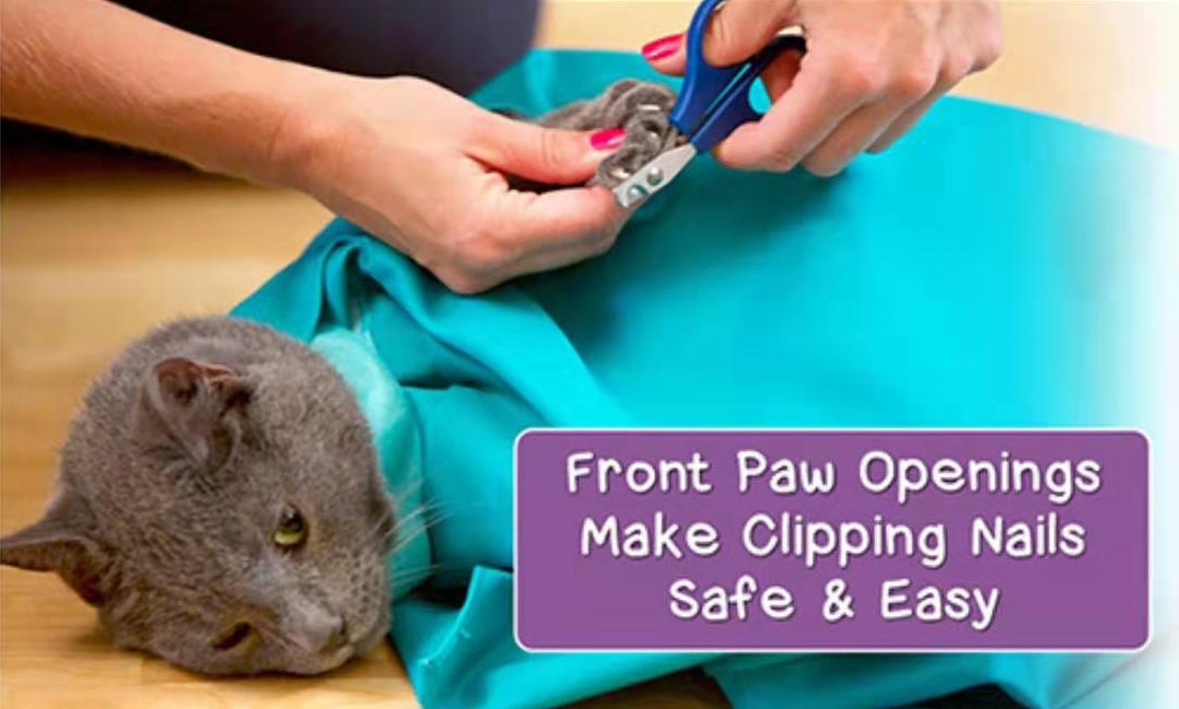 Portable Pet Messenger Bag Four Seasons Strollers Canvas Zipper Closure For Cats Dogs Ideal For Travel Outdoor Shoulders - Black