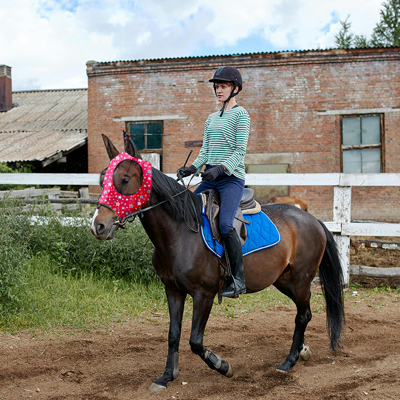 Stretch Lycra Mosquito Repellent Summer Breathable Horse Fly Mask With Ears Comfortable Mesh Rugged Ride Horse Supplies - Star Blue