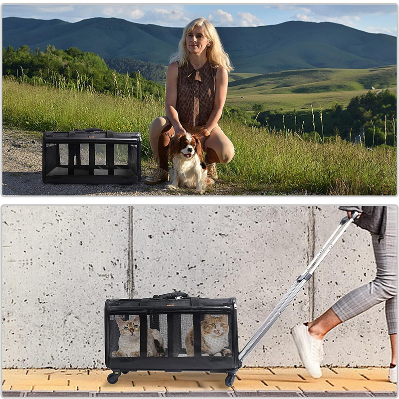 Transport Carrier For 2 Cats Handbag Large Cats Pet Polyester Zipper Closure For Cats Dogs Bags Ideal For Travel Outdoor Use - Black