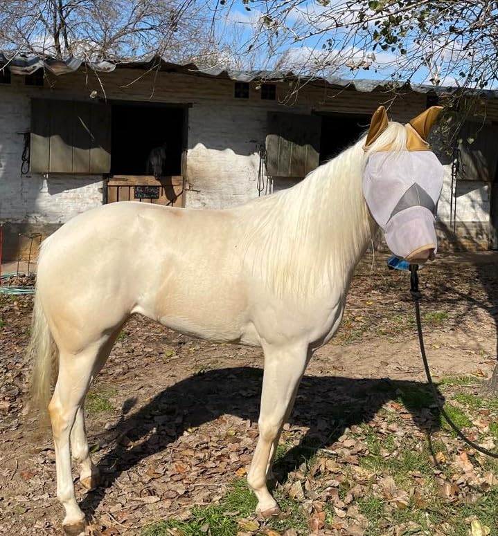 UV Protection Nylon Mosquito Repellent Summer Breathable Horse Fly Mask Mesh Nose Cover Ride Horse Supplies - With Ear