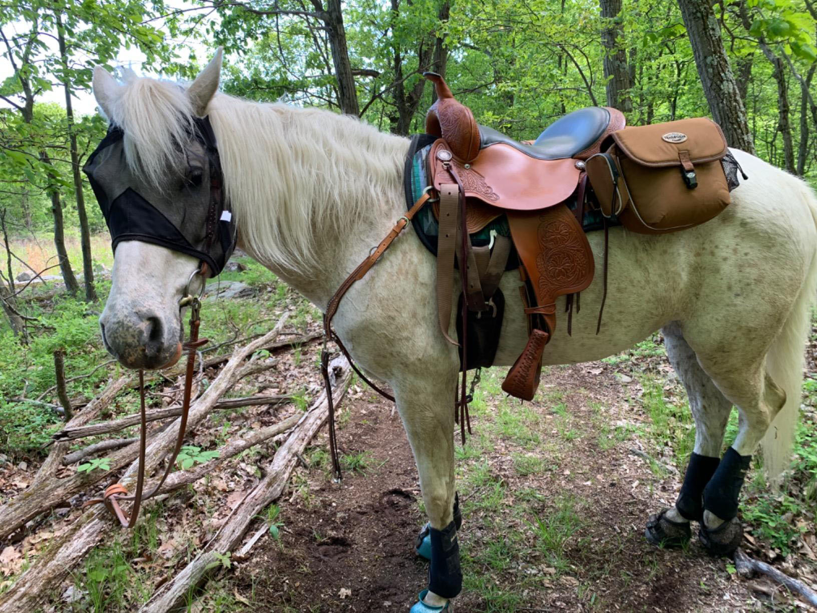 UV Protection Nylon Mosquito Repellent Summer Breathable Horse Fly Mask Mesh Rugged Ride Horse Supplies - Black