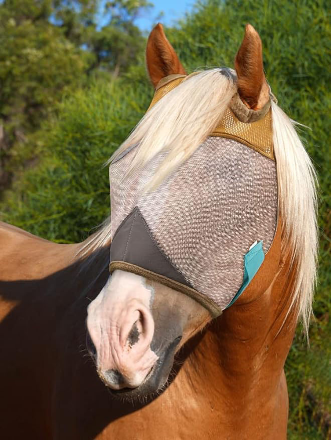 UV Protection Nylon Mosquito Repellent Summer Breathable Horse Fly Mask Mesh Rugged Ride Horse Supplies - Brown