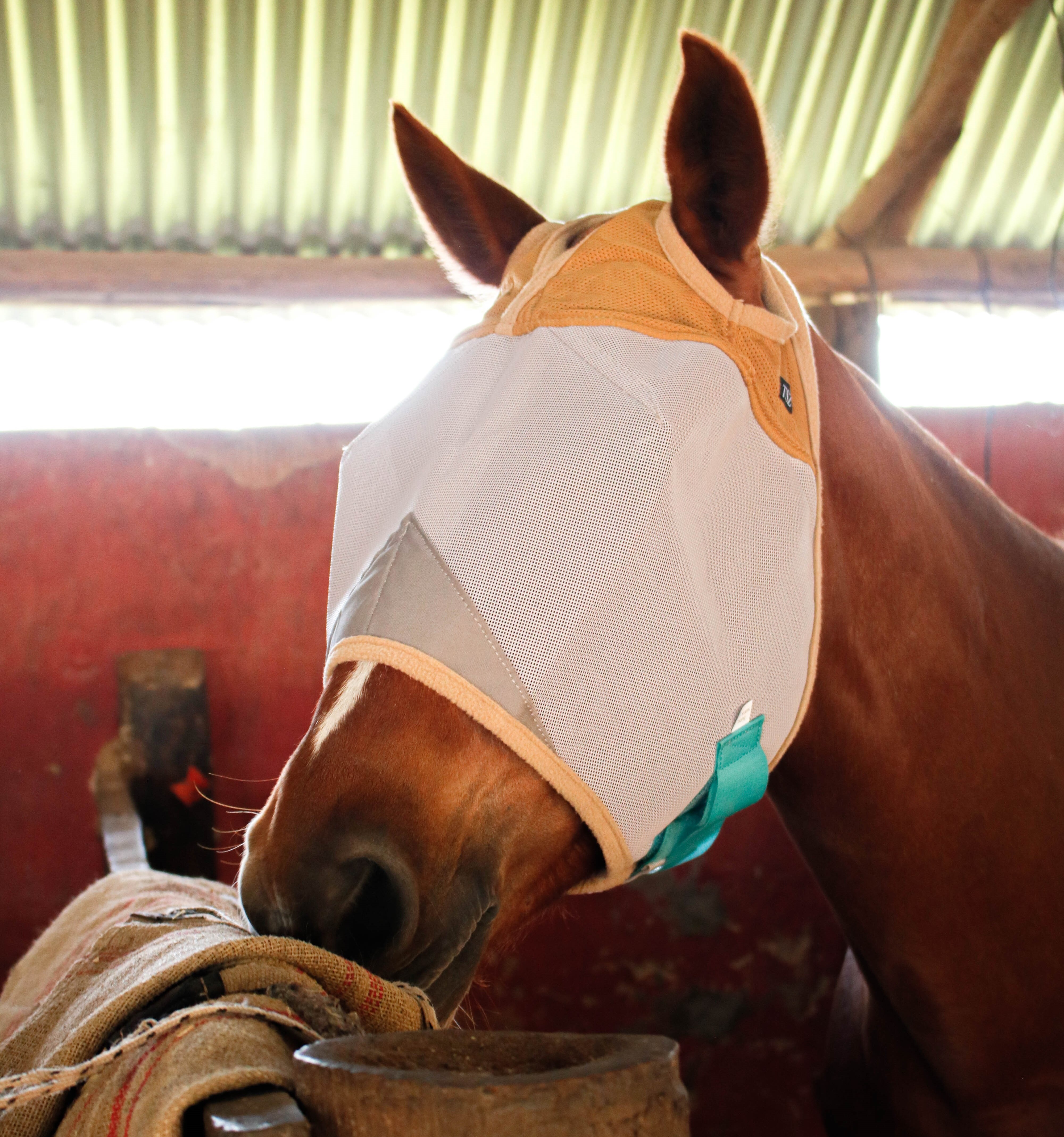 UV Protection Nylon Mosquito Repellent Summer Breathable Horse Fly Mask Mesh Rugged Ride Horse Supplies - Brown