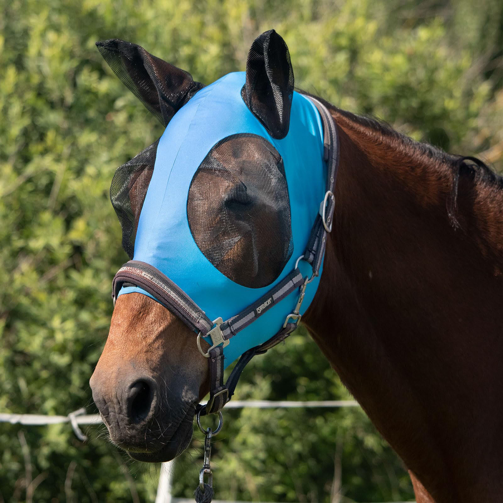 UV Protection Polyester Mosquito Repellent Summer Breathable Horse Fly Mask With Ears Rugged Ride Horse Supplies - Cool Mint