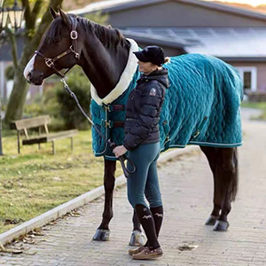 Adjustable Velvet Rug Horse Care Blanket Detachable Neck Cover Winter Keep Warm Equestrian Gear With Comfort Thickened - Blue