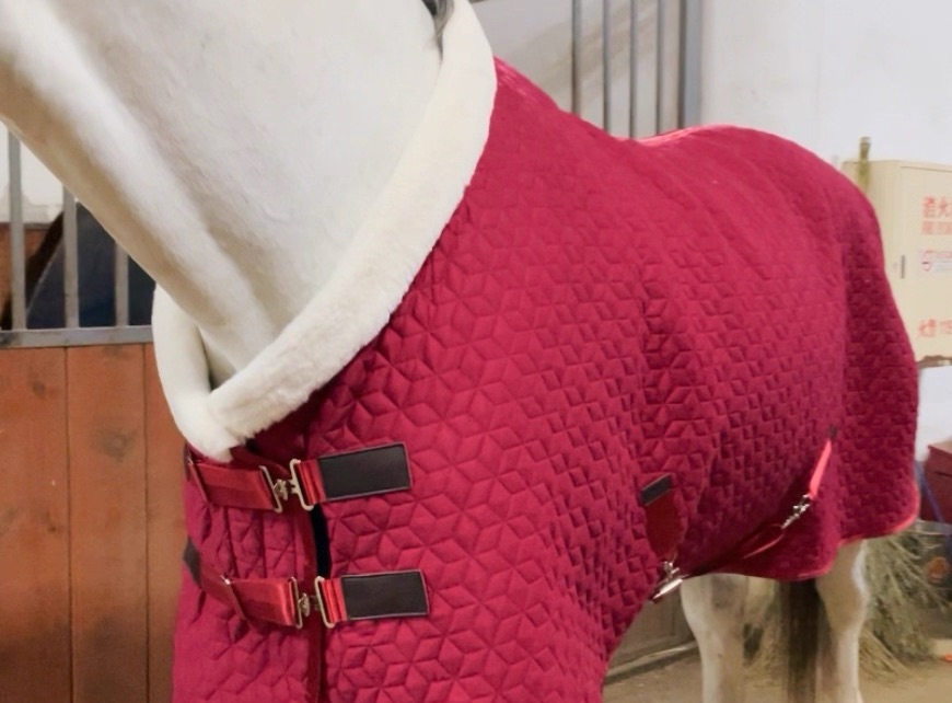 Adjustable Velvet Rug Horse Care Blanket Detachable Neck Cover Winter Keep Warm Equestrian Gear With Comfort Thickened - Red