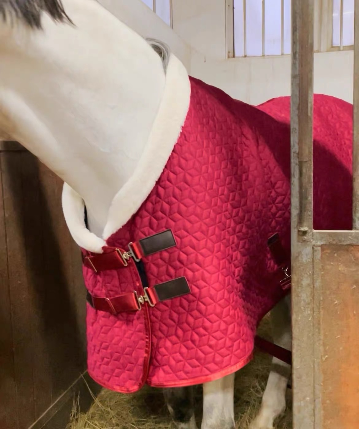 Adjustable Velvet Rug Horse Care Blanket Detachable Neck Cover Winter Keep Warm Equestrian Gear With Comfort Thickened - Red