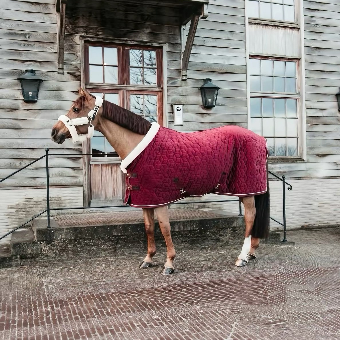 Adjustable Velvet Rug Horse Care Blanket Detachable Neck Cover Winter Keep Warm Equestrian Gear With Comfort Thickened - Wine Red