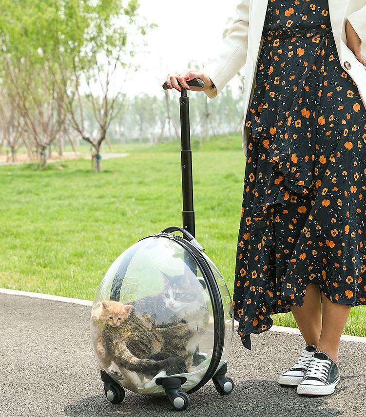 Classic Portable Pet Strollers With Wheels Durable Acrylic PC Closure For Cats Dogs Bags Ideal For Travel Outdoor Use - Black