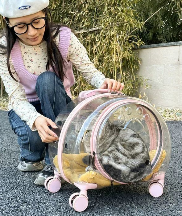 New Portable Pet Strollers With Wheels Durable Acrylic PC Closure For Cats Dogs Bags Ideal For Travel Outdoor Use - Green 2