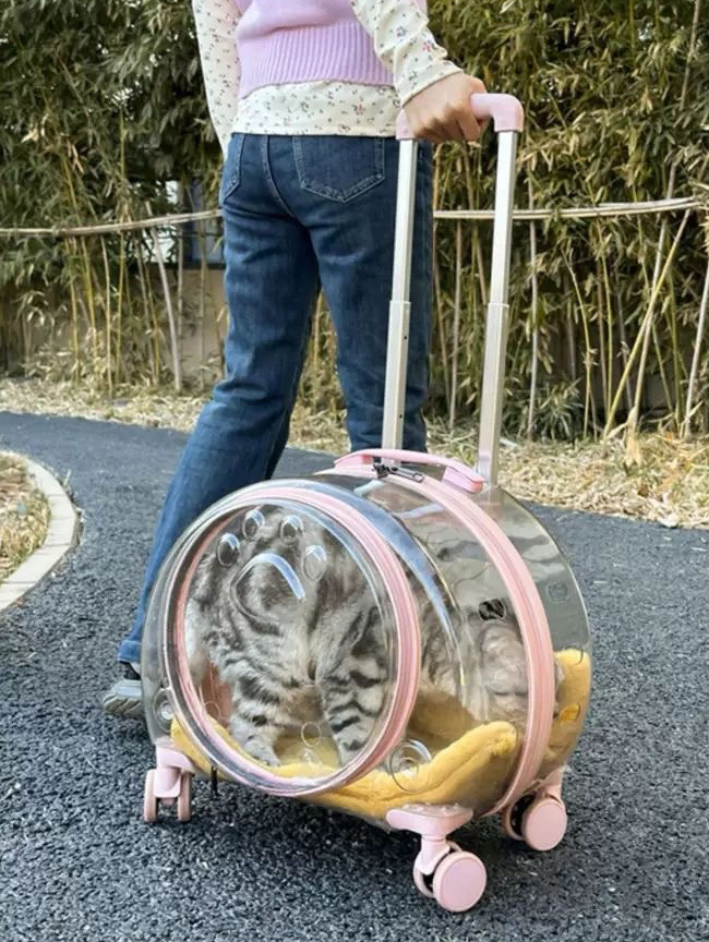 New Portable Pet Strollers With Wheels Durable Acrylic PC Closure For Cats Dogs Bags Ideal For Travel Outdoor Use - Green 2