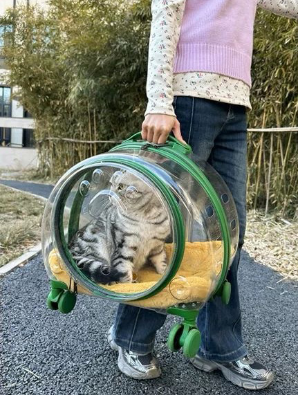 New Portable Pet Strollers With Wheels Durable Acrylic PC Closure For Cats Dogs Bags Ideal For Travel Outdoor Use - Green 2
