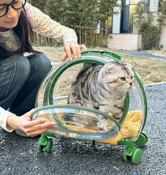 New Portable Pet Strollers With Wheels Durable Acrylic PC Closure For Cats Dogs Bags Ideal For Travel Outdoor Use - Green 2